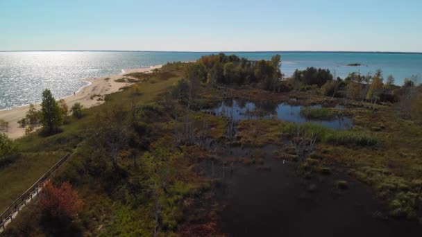 Flygande Träsk Nära Sjön Huron Michigan — Stockvideo