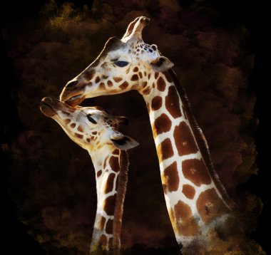 Watercolor Image Of Giraffes clipart