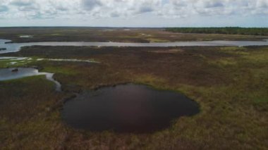 Florida 'da Meksika Körfezi yakınlarındaki Bataklık Havalimanı