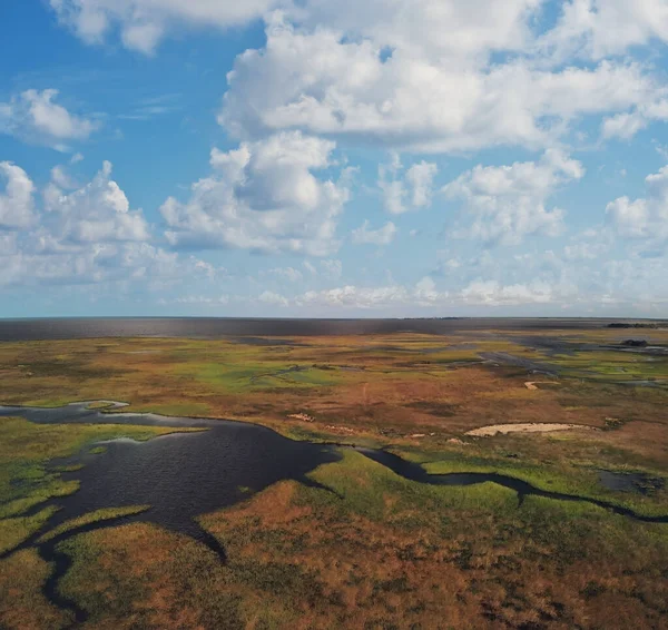 Aerial View Swamp Gulf Mexico Florida — Photo