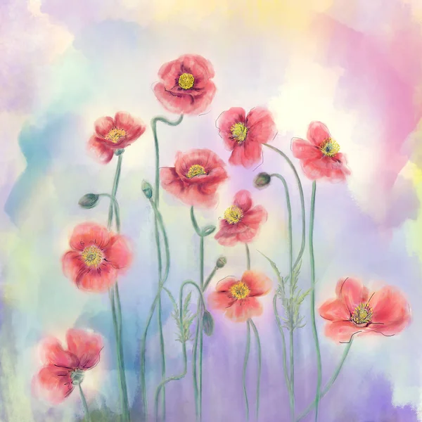 Digital Watercolor Painting Red Poppy Flowers — Fotografia de Stock