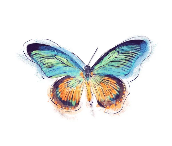 Akvarel Digitální Malba Tropického Motýla Bílém Pozadí — Stock fotografie