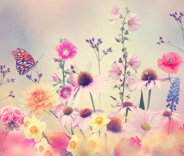 Variety of colorful flowers in the garden and butterfly