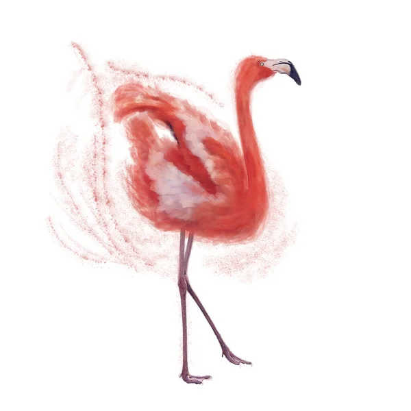 Watercolor Digital Painting Pink Flamingo Bird White Background — Stock Photo, Image