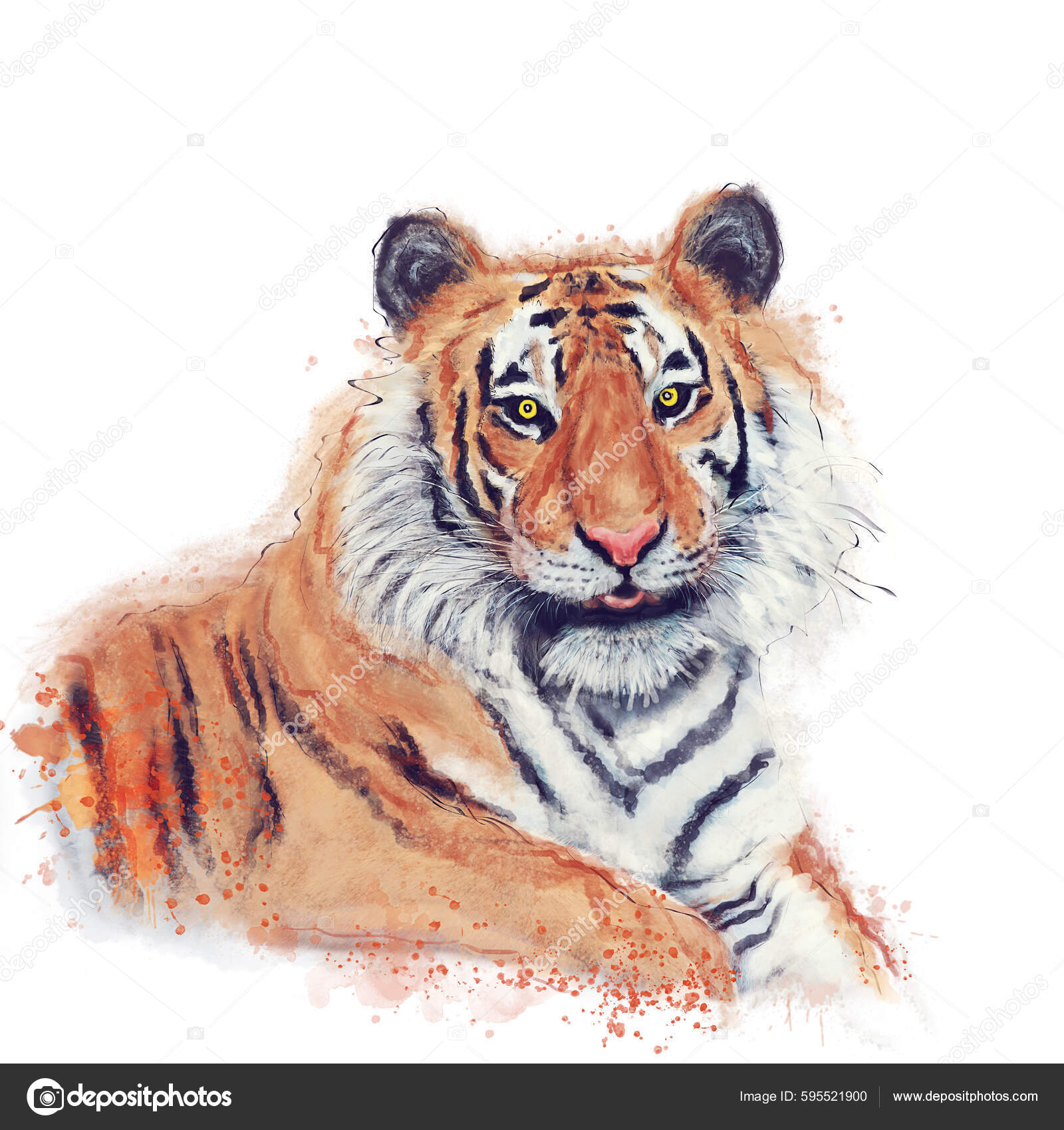 Close Up Portraits of roaring Bengal Tiger. Digital artwork Stock  Illustration