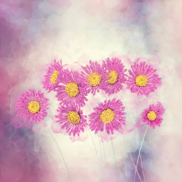 Digital Watercolor Pink Yellow Daisy Flowers — Stock Photo, Image
