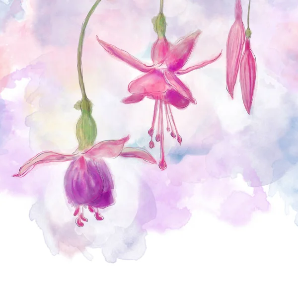 Digitale Aquarel Van Roze Paars Fuchsia Bloemen — Stockfoto