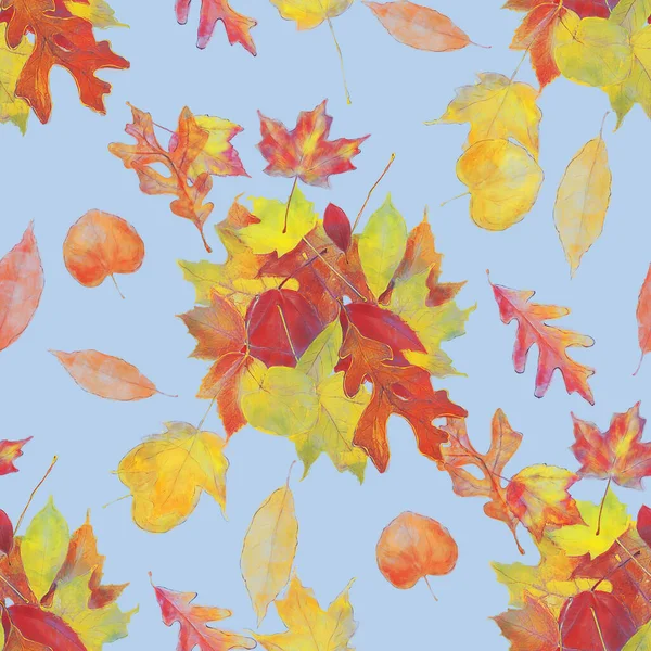 Watercolor Image Colorful Autumn Leaves Seamless Pattern — Stock fotografie