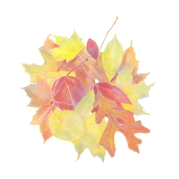 Watercolor Image Colorful Autumn Leaves Isolated White Background Stok Resim