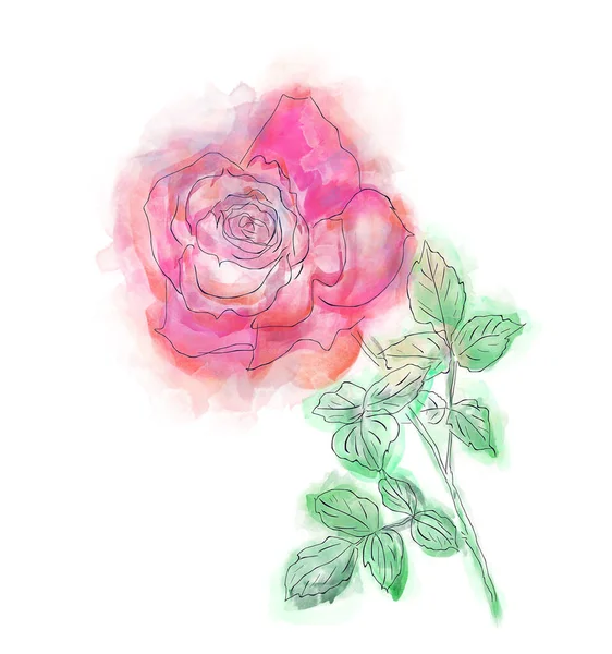 Rose Flor Pintura Aquarela — Fotografia de Stock