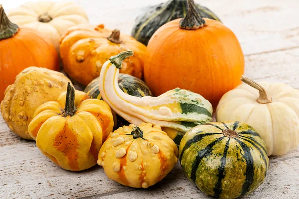 Colección Calabazas Sobre Fondo Madera —  Fotos de Stock