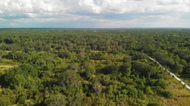 Bataklık ve Ormanlı Florida Kırsal Havası