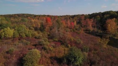 Küçük Nehir ve Sonbahar Renkleri ile Kırsal Hava