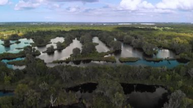 Gün batımında Florida Wetland 'da. Hava Manzarası.