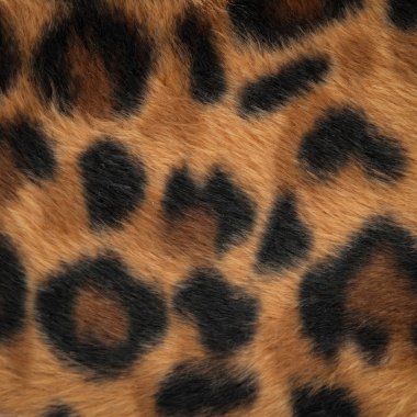 leopar veya jaguar deri desen arka plan