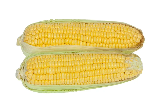 Corn cob — Stock Photo, Image