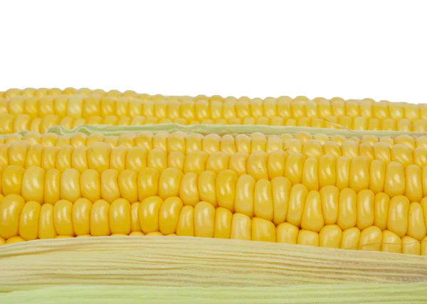 Corn cob background — Stock Photo, Image