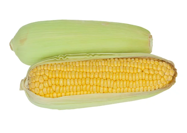 Corn cob — Stock Photo, Image