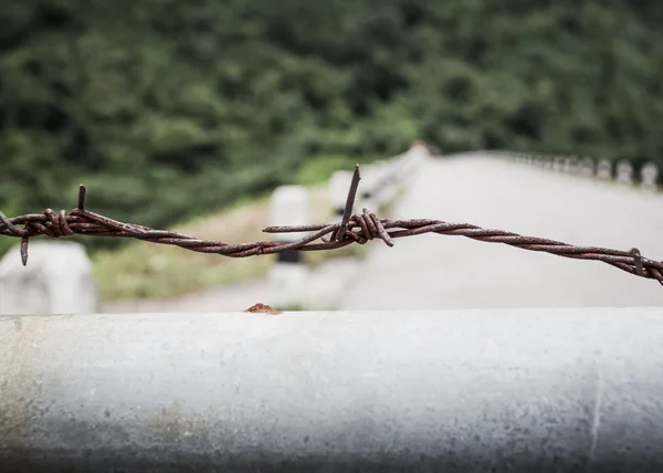 Fence with a barbed wire — Stock Photo, Image