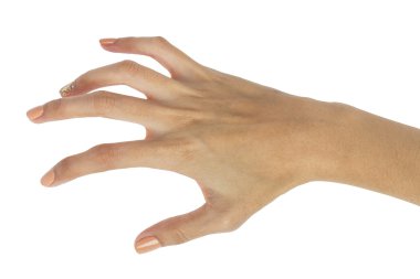 Cadılar Bayramı el