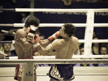 Bangkok, Tayland-Ekim 04: tanımlanamayan boksörler rekabet içinde t