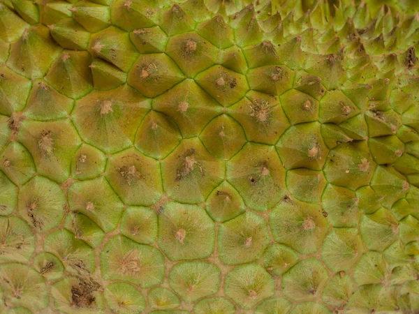 Closeup de pele de fruta de Durian — Fotografia de Stock