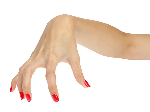 Halloween hand — Stock Photo, Image