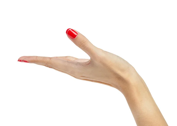 Mulher feminina mão segurando isolado no branco — Fotografia de Stock