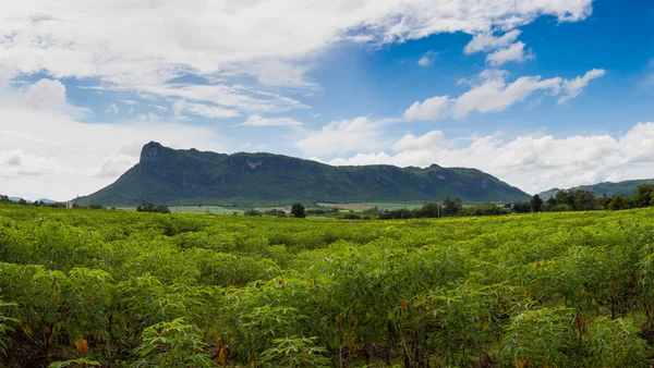 Summer landscape in mountains and the dark blue sky with clouds — Stock Photo, Image