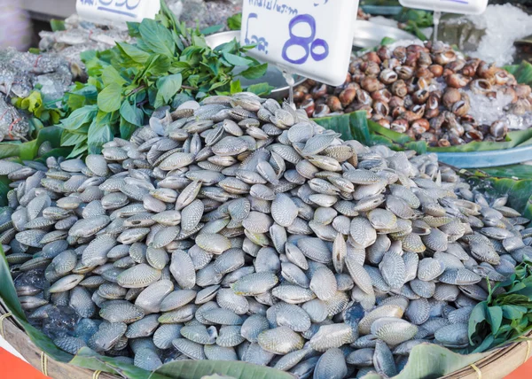 Almejas frescas en el mercado — Foto de Stock