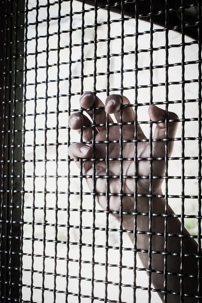 Hand and mesh cage for freedom — Stock Photo, Image
