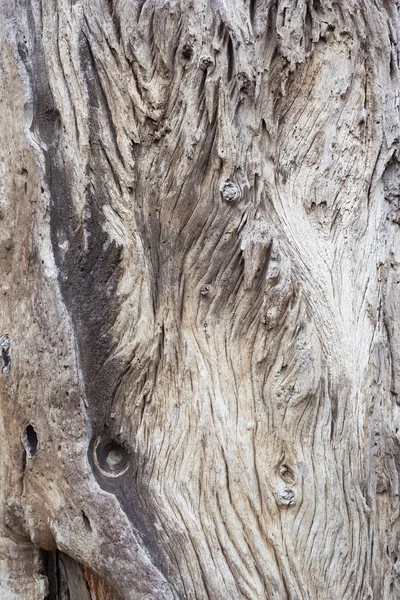 Textura de madera fondo —  Fotos de Stock