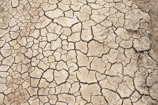 Texture del suolo, sfondo crack — Foto Stock