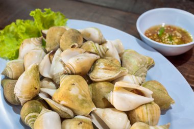 Seafood grill deniz hayvanı kabuğu