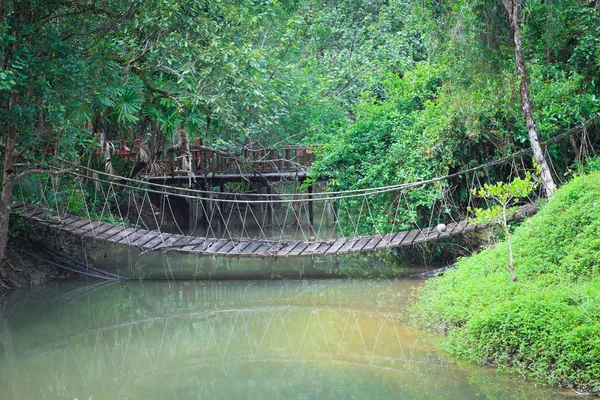 Мотузковий міст через річку — стокове фото