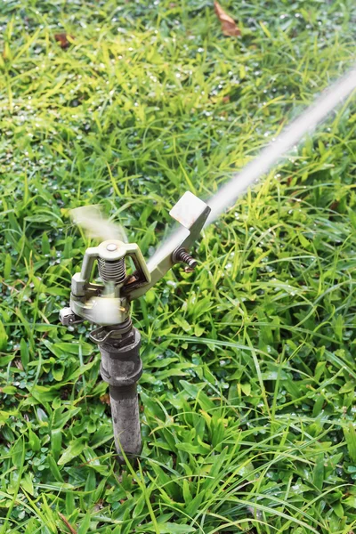 洒水喷头浇水的花和草 — 图库照片