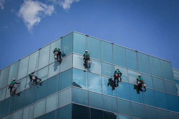 Grupo de trabajadores servicio de limpieza de ventanas en edificio de gran altura — Foto de Stock