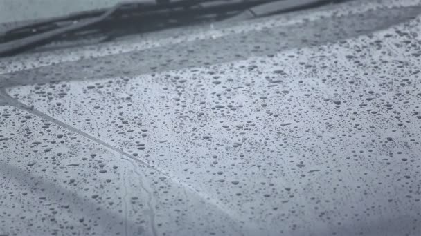 Gota de agua de lluvia en el capó del coche — Vídeo de stock