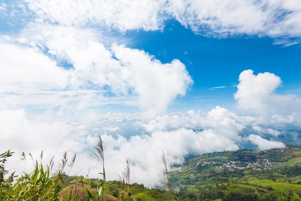 Vue sur les montagnes sous la brume le matin, "PHU TUB BURG" Phetcha — Photo