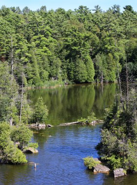 Rockwood Gölü, ontario, Kanada