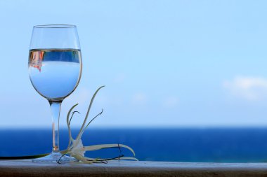 bir bardak şarap ile gökyüzü ve deniz karşı örümcek zambak