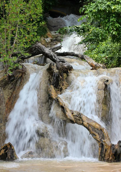 Jamajka dunn river falls — Zdjęcie stockowe