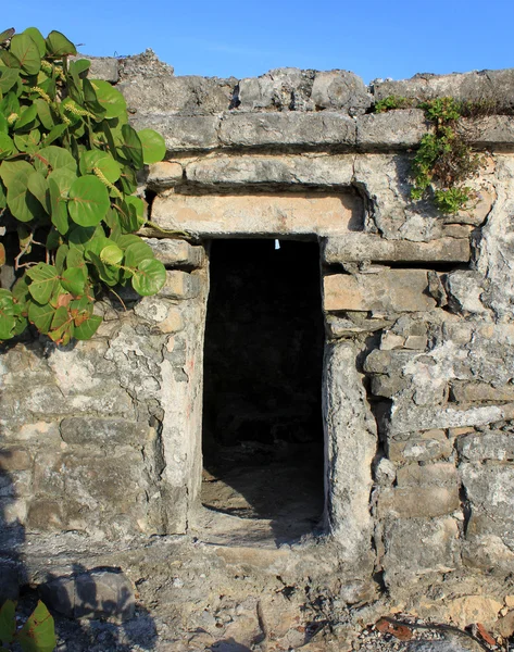 Entrada a la antigua casa maya —  Fotos de Stock