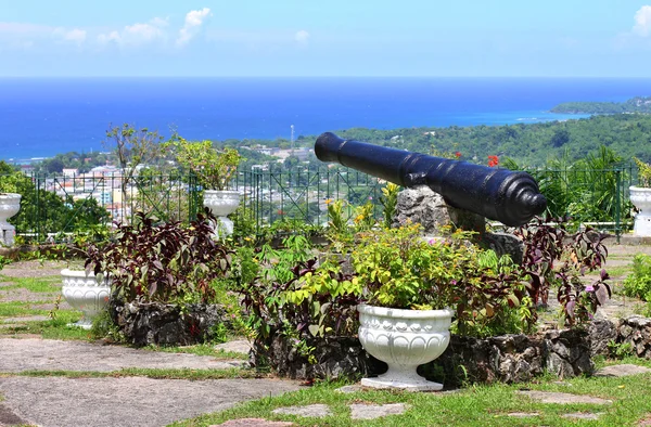 shaw park botanik bahçeleri ocho rios liman kenti üzerinden doğal görünüm