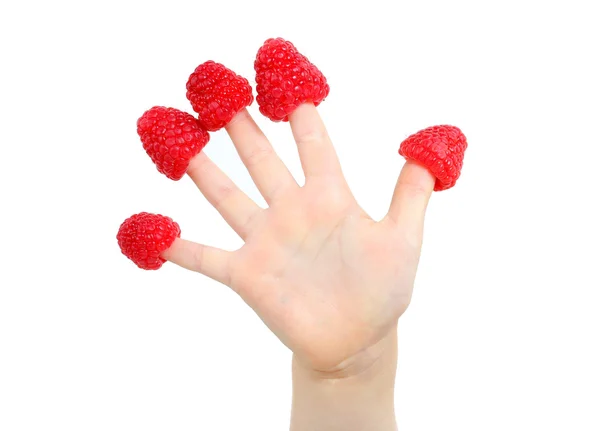 Little child's hand with raspberry "hats" on fingers — Stock Photo, Image