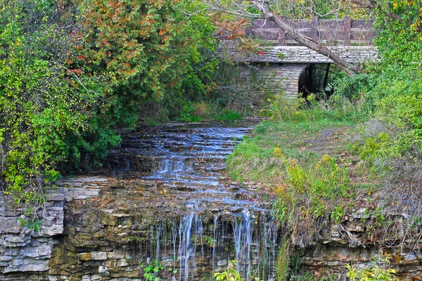 Borer falls — Stock Fotó