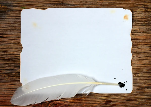 Vieux papier avec une plume d'oie comme fond — Photo