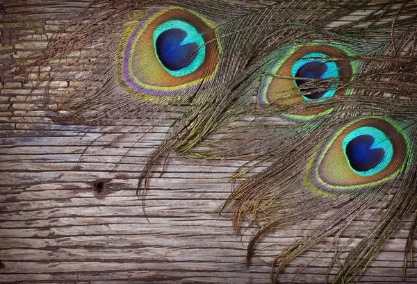 오래 된 풍 화 나무 보드에 공작의 깃털 — 스톡 사진