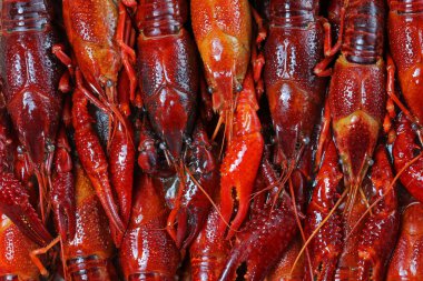 arka planı kırmızı pişmiş kerevit