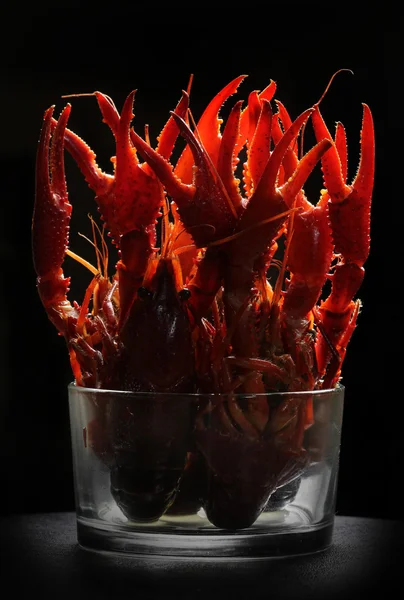 Crayfish in the glass on a black background — Stock Photo, Image